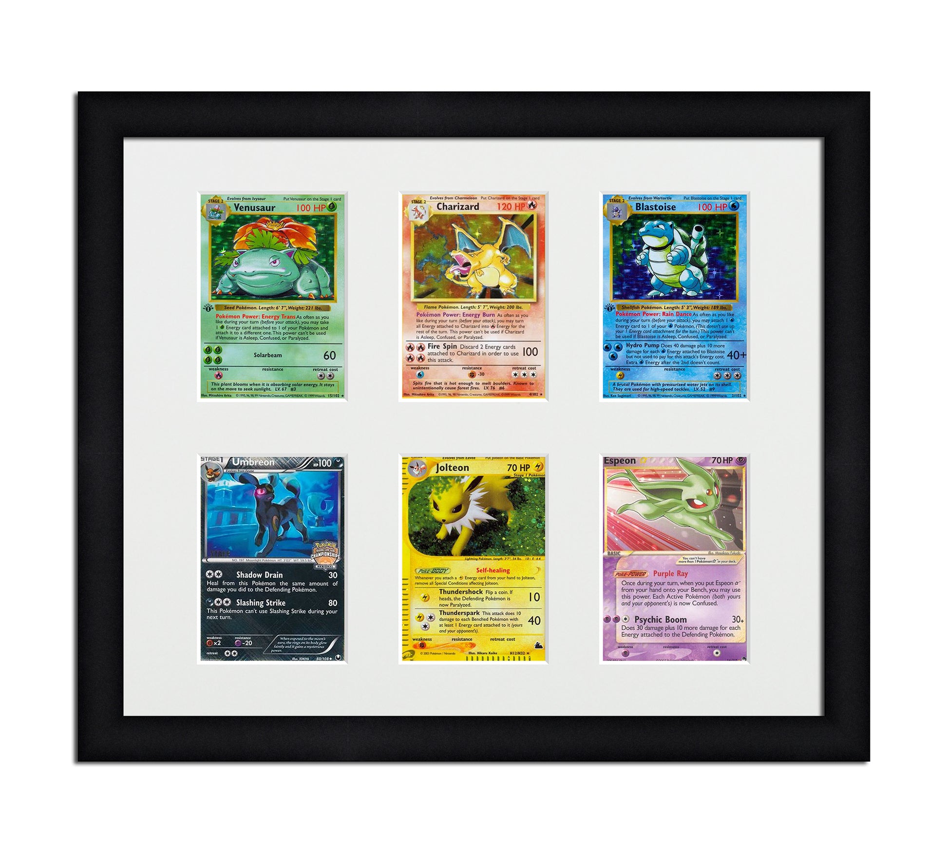 Framed Card Display for cards in sleeves in a 2x3 layout with a white background and black frame