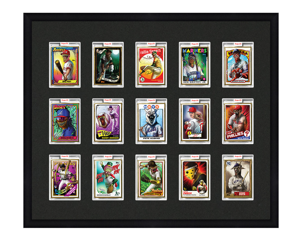 Framed Card Display - 15 Openings for Project 70, Project 100, or Proj ...